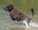 20220807-jwd-0160