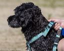 20220807-jwd-0181