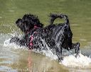 20220807-jwd-0190