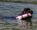 20220807-jwd-0192