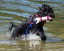 20220807-jwd-0194
