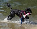 20220807-jwd-0199