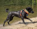 20220910-awd-0039