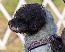 20220910-jwd-0040