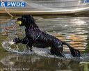 20220910-jwd-0131