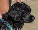 20220910-jwd-0152