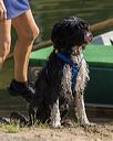 20220910-master-0060