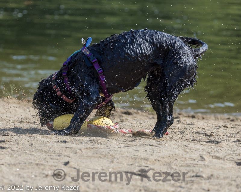 20220910-master-0017.jpg