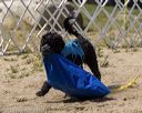 20220910-wwd-0088