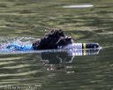 20220910-wwd-0093