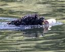 20220910-wwd-0139