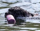 20220910-wwd-0296