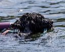 20220910-wwd-0298