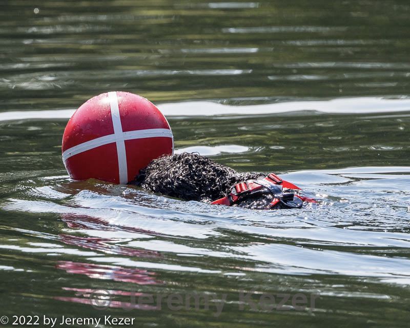 20220910-wwd-0018.jpg