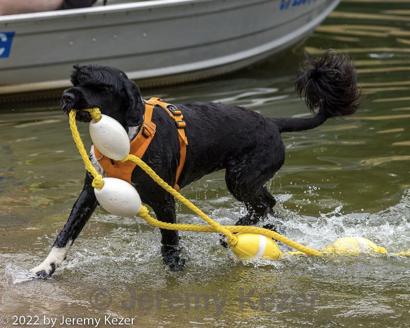 20220911-awd-0304.jpg