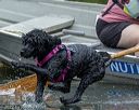 20220911-cwd-0026