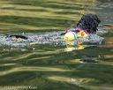 20220911-cwd-0034