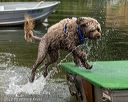 20220911-master-0057
