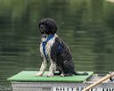 20220911-master-0128