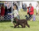 20221001-wc-0147