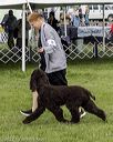 20221001-wc-0065
