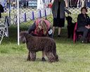 20221001-wc-0082