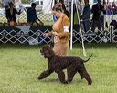 20221001-wc-0045