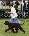 20221001-wc-0012