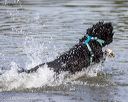 20230819-jwd-0110