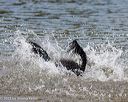 20230820-jwd-0035