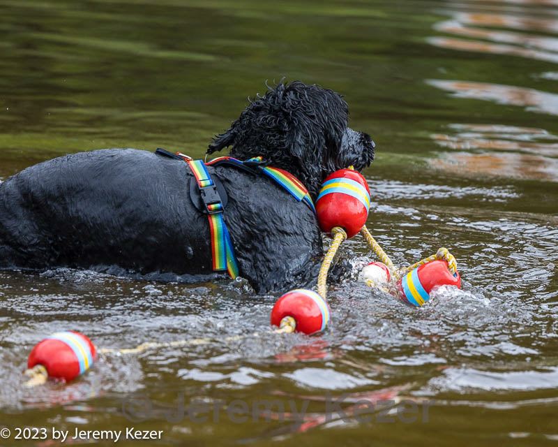 20230909-cwd-0054.jpg