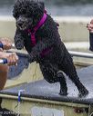 20240817-cwd-0035