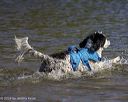 20240824-awd-0195