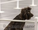 20250513-ob-0104_1.jpg