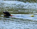20250914-cwd-0207