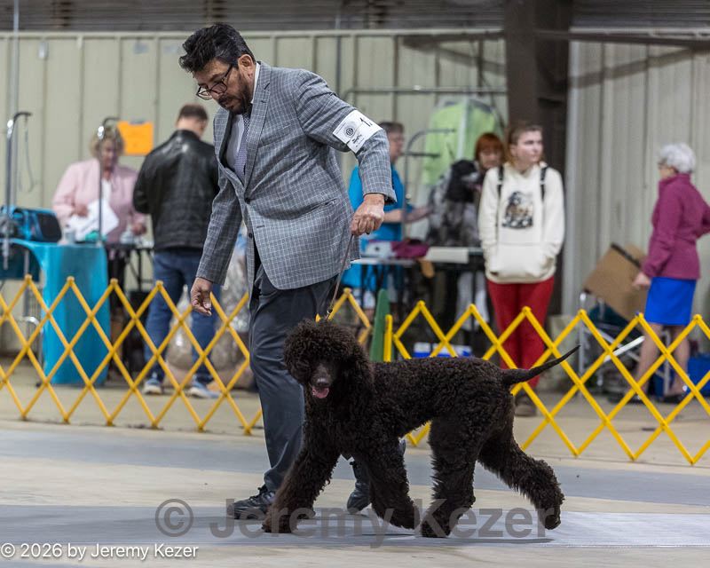 20260228-0134.jpg