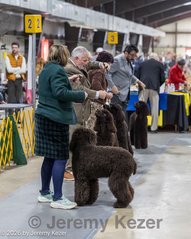 20260228-0208.jpg