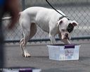 20260718-nskc-0249