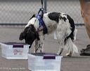 20260718-nskc-0260
