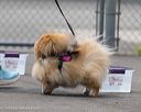 20260718-nskc-0266