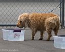 20260718-nskc-0269
