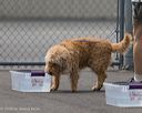 20260718-nskc-0270