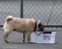 20260718-nskc-0282