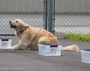 20260718-nskc-0292