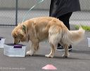 20260718-nskc-0295