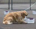 20260718-nskc-0302