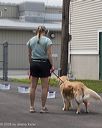 20260718-nskc-0305