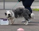 20260718-nskc-0315