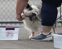 20260718-nskc-0317