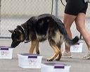 20260718-nskc-0324